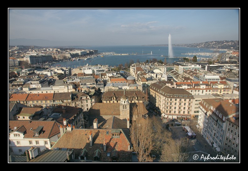 060 La ville et sa rade vue depuis la tour Nord